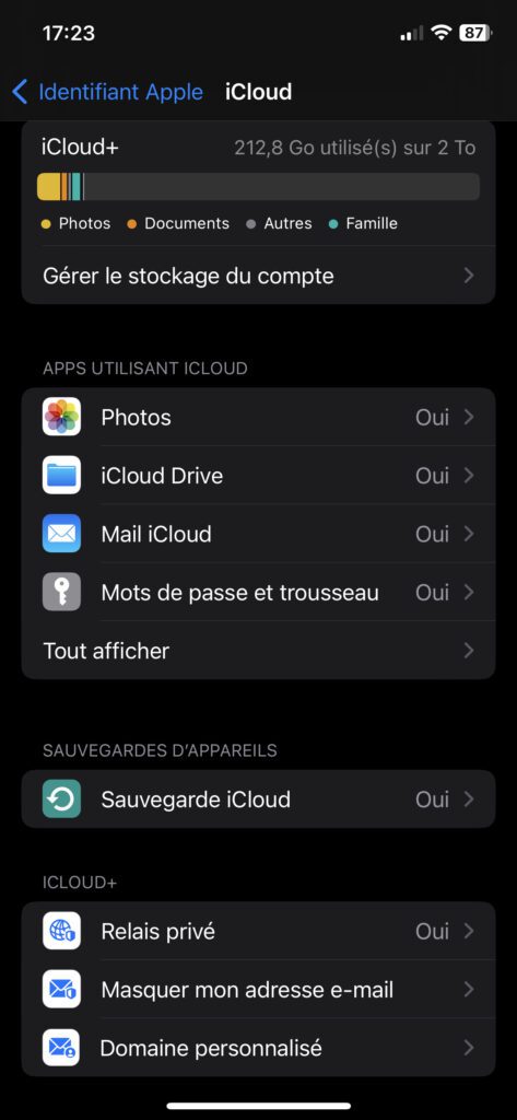 App réglages Apple pour activer Relais Privé iCloud