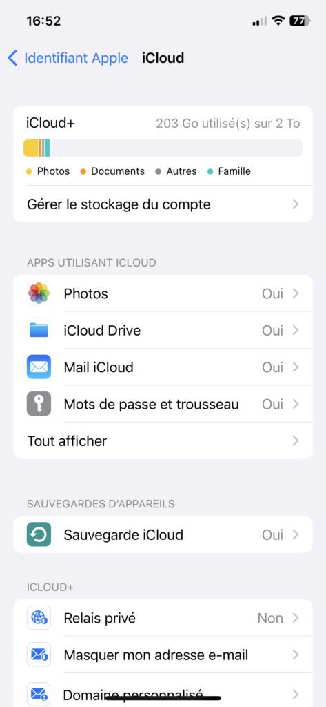 Activez la fonctionnalité Masquer son adresse mail IOS